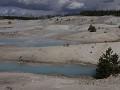 Yellowstone NP - Norris Geyser Basin