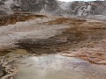 Yellowstone NP - Mammoth Hot Springs Terraces