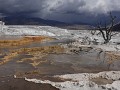 Yellowstone NP - Mammoth Hot Springs Terraces