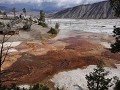 Yellowstone NP - Mammoth Hot Springs Terraces