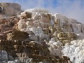 Yellowstone NP - Mammoth Hot Springs Terraces