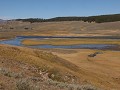 Yellowstone NP - Hayden Valley