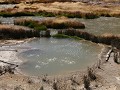 Yellowstone NP - Mud Volcano