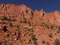 Burr Trail Road 
