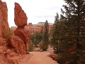 Bryce Canyon NP - wandeling Sunset Point, Navajo-P