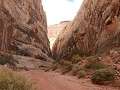 Capitol Reef NP, Grand Wash Trail  