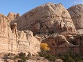 Capitol Reef NP, Hickman Bridge Trail  