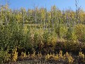Dalton Hwy - traject 3