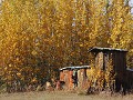Dalton Hwy - traject 8, Wiseman