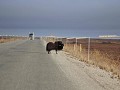 Dalton Hwy - traject 5, zwaar kaliber