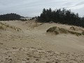 Dunes City - Dunes Overlook