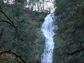 Tillamook, Munson Creek Falls