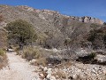 Guadalupe Mountains NP, McKittrick Canyon Trail