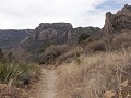 Big Bend NP, Lost Mine Trail