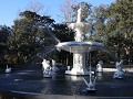 Savannah, half bevroren fontein