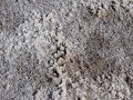 Death Valley, Badwater, zoutkristallen