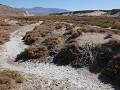 Death Valley, Salt Creek