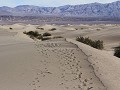 Death Valley, Mesquite Flat Sand Dunes