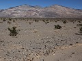 Death Valley, langs de Panament Valley Road