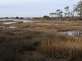 Assateague Island National Seashore