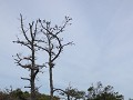 Assateague Island National Seashore - duinenwandel