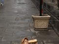 New Orleans, French Quarter, straatanimatie