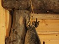 Anchorage - Alaska Native Heritage Center, rugzak 