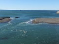Bodega Head, uitzicht met zeehondjes en pelikanen