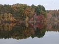 Chicopee State Park - herfstwandeling in Chicopee 