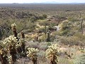 Tucson, Saguaro NP, RMD, Douglas Spring, oude stuw