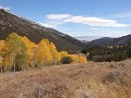 Great Basin NP, Snake Creek, Service Berry Trail