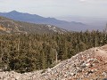Great Basin NP, Bristlecone Pine Trail