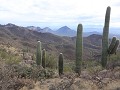 Tucson, Saguaro NP, wandeling King Canyon