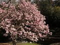 Bellingrath Gardens