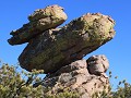 Chiricahua NM, Duck on a rock