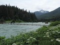 Chilkoot rivier, project voor het tellen van de vi