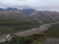 Denali NP - dag 5 - langs de parkweg