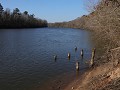 Congaree NP - Bates Ferry