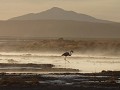 Altiplano sunrise