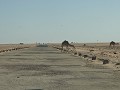 Mauritanian highway