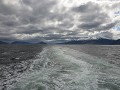 Vanuit Punta Arenas nemen we de boot die ons langs