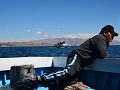 Met een motorboot worden we naar Isla del Sol gebr