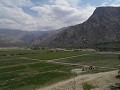 Viñedos de Cafayate