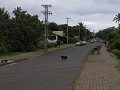 Hanga Roa