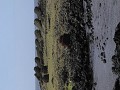 Ahu Vaihu