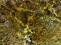 Tatio Geisers