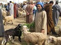 Markt in Taroudant