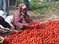 Markt in Taroudant