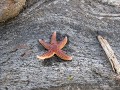 IMG_9184