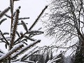 zweden-januari-februari-2023-0102482753